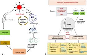 With b vitamins, manganese and 1,000 mg of vitamin c. Exploring Links Between Vitamin D Deficiency And Covid 19