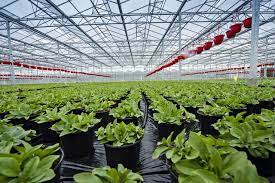 Acquisition Of Butters Group Ltd Flamingo