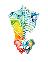 Watercolor Anatomy Framed Poster In 2021 Biology Art Human Anatomy Art Anatomy Art