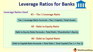 This information has important implications for bank regulatory agencies whose purpose is to evaluate bank safety and soundness based upon the camel rating system. Long Term Debt To Total Asset Ratio India Dictionary