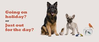 Ikea offers everything from living room furniture to mattresses and bedroom furniture so that you can design your life at home. Pet Sitting Finchley Dog Walker Cat Puppy Sitting Dog Daycare Small Animal Boarding