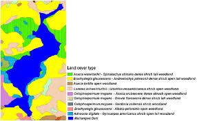 Image result for Brachystegia glaucescens