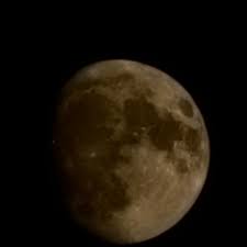 Gail Crabtree Lawver (@glawver_) • Threads, Say more