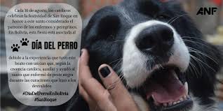 El día 2 de junio es el día nacional del perro en argentina. Agencia Fides Anf On Twitter Anf Hoy 16deagosto Los Catolicos En El Mundo Celebran La Festividad De Sanroque En Bolivia Se Festeja Este Dia Homenajeando A Los Canes Y Otras Mascotas De