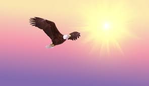 Image result for images mount up on eaglesâ€™ wings.