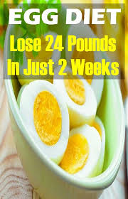The Boiled Egg Diet Lose 24 Pounds In Just 2 Weeks Diet Loss Egg Diet Easy Diets