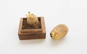 But really it is quite easy, and. Grow Potatoes At Home Planting Harvesting More Zameen Blog