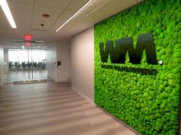 Hanging planters can help create an indoor or outdoor garden. Vertical Garden Preserved Plants For Interior Walls Planters Ceilings