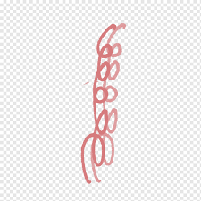 sidewalk chalk chalk line pink free pink chalk line to pull pattern miscellaneous white effect png pngwing pngwing