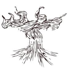 Riječ zakrpa, suvišna riječ etimologija tal. La Cepa De Cobalto Photos Facebook