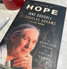 Simply Beautiful Living