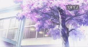 #anime background music #beautiful music instrumental #film & animation #live wallpaper project #livewallpaper project #luminastre #relaxing music #sakura live wallpaper #sakura tree live wallpaper. Sakura Tree Gif Explore Tumblr Posts And Blogs Tumgir