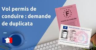 Le renouvellement a lieu en préfecture et permet. Vol Permis De Conduire Demande De Duplicata En Ligne