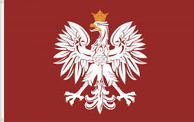 It is located at a geographic crossroads that links the forested lands of northwestern europe to the sea lanes of the atlantic ocean and the fertile plains of the eurasian. Voices Of Polonia Utica Phoenix