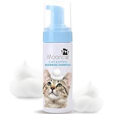 3 months ago i brought a new kitten home she was a kitten from an alley cat i i quarantined her for 2 weeks while inside vet visits with new kitten nikita. Are Baby Wipes Safe For Cats Be Careful Here S What You Must Know First