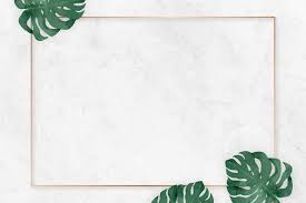 Search your top hd we hope you enjoy our rising collection of aesthetic wallpaper. Pin By Krystal Sutton On Background Flower Background Wallpaper Background For Powerpoint Presentation Wallpaper Powerpoint