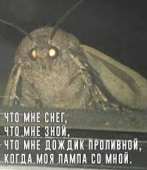 что мне снег что мне зной что мне дождик проливной Pin Ot Polzovatelya Anastasiya Na Doske Memes Komiksy Dlya Uebanov Zabavnye Kartinki Smeshnye Memy Memy
