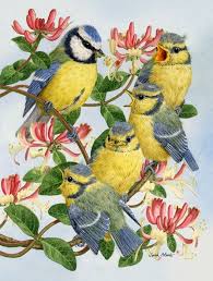 Shop dritz foldable superboard at joann fabric and craft store online to stock up on the best supplies for your project. Eurasian Blue Bird At Feeding Time 2 Sided Polyester 40 X 28 In House Flag Blue Bird Bird Art Painting