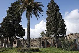 Der mann hat seine gesamte familie bestialisch abgeschlachtet und die polizeibeamten attackiert, ehe er getötet werden konnte. Pompejis Reichste Residenz Das Haus Des Fauns