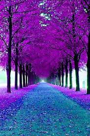 Pin By Lidia Silva On Nature Is Beautiful Beautiful Landscapes Beautiful Nature Nature