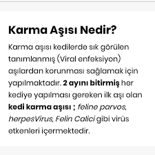Yasamvet Nazilli Veterinarian 88 Photos Facebook