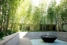 Timeless symbol of exotic lands.or the backyard by paul whittaker. Bamboo Landscaping Ideas Givdo Home Ideas