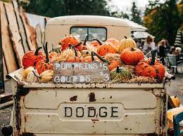 Pumpkins In Vintage Truck Fall By Chart08 On Creativemarket Autumn Photography Fall Pumpkins Fall Wallpaper