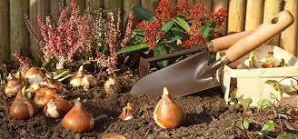 Ein garten ist ein abgegrenztes stück land, in dem pflanzen oder tiere vom menschen in kultur genommen und somit gepflegt (kultiviert) werden. Februar Im Garten Gartenarbeit Boden Bearbeiten Straucher Schneiden