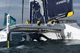 Route du rhum 2018 : Route Du Rhum Race Leader Seb Josse Updates Gitana Team On Damage
