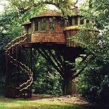 Best Treehouse Ever Beautiful Tree Houses Tree House Designs Cool Tree Houses