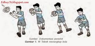 Physics james walker pdf download driver sound card cmi8738 4ch zip. 69 Gambar Bola Kartun Gratis Download Cikimm Com