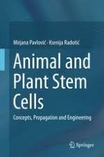 Animal cell vs human cell. Animal And Plant Stem Cells Springerprofessional De