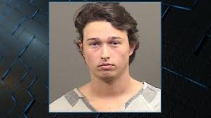 Dadeville man charged after shooting, killing donkey