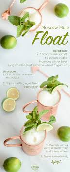 Moscow Mule Float Easy End Of Summer Sorbet Mule Treat Recipe Mule Recipe Moscow Mule Recipe Alcohol Recipes