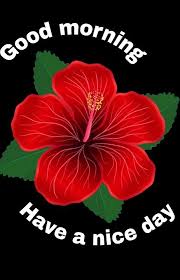 Pin By Wanda Riggan On Good Morning Good Morning Cards Good Morning Greetings Good Morning Motivation