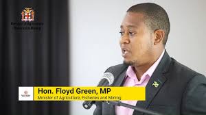 Despite the recent challenges posed by hurricane Beryl, the Denbigh  Agricultural, Industrial & Food Show is still ON! After careful  consideration, we’ve decided to move forward with a smaller-scale ...