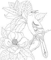 Google Image Result For Http Www Friendsacrossamerica Com Colorstatemsbirdflo Bird Coloring Pages Flower Coloring Pages Coloring Pages
