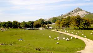 Parque Natural de Aizkorri-Aratz | Espacios naturales del País Vasco |  Turismo Euskadi