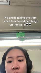 I wish i was joking 😭😭 #melbourne #bedbugparis #parisbedbugs