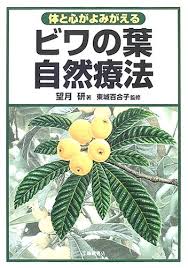 体と心がよみがえる ビワの葉自然療法 望月 研 本 通販 Amazon
