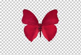 We love free icons and icon sets. Butterfly Desktop Aesthetics Png Clipart Aesthetics Art Butterfly Clip Art Computer Icons Free Png Download
