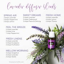 We did not find results for: Essential Oils Archives The Way Home
