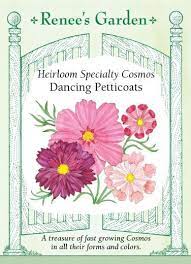 Tracy was born on august 25, 1965, in nyc, new york. Seed Pioneer Renee Shepherd And The Gardening Life Bostonia Boston University