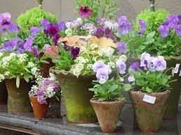 Little Spring Pots Flower Farm Beautiful Flowers Flower Pots