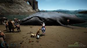 Check spelling or type a new query. Black Desert Magoria Expansion In Review Mmohuts