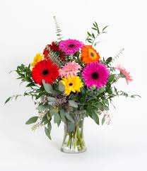 Apr 13, 2007 · shop costco's royal palm beach, fl location for electronics, groceries, small appliances, and more. Gerbera Daisy Vase In West Palm Beach Fl Love S Flower Shop