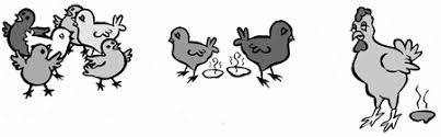Demikian arti dari peribahasa bagai ayam berak kapur. Penyakit Berak Kapur Pada Ayam Kampung Ilham Creative