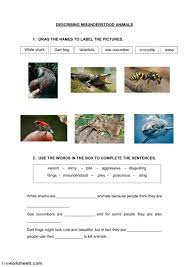 The Animals Interactive And Downloadable Worksheet You Can Do The Exercise English As A Second Language Intermediate School English As A Second Language Esl