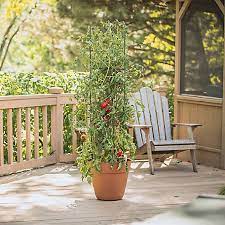 Tractor supply company operates as a rural lifestyle retailer in the united states. Plant Stakes Ties Cages At Tractor Supply Co