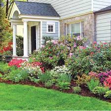 Blue rug juniper is particularly great. Best Foundation Plants For Stellar Curb Appeal Foundation Plants Front Yard Landscaping Azaleas Landscaping
